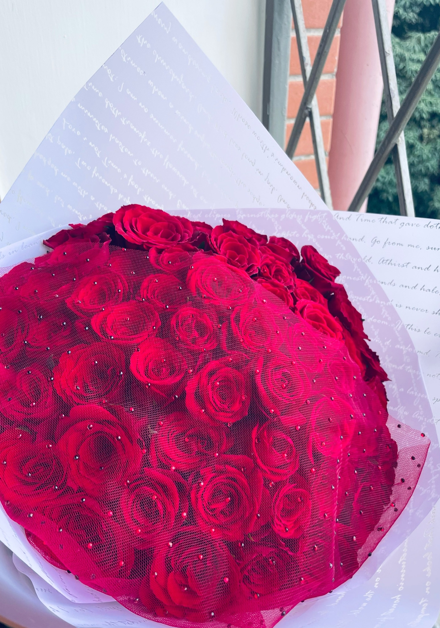 Red Romance - view 4