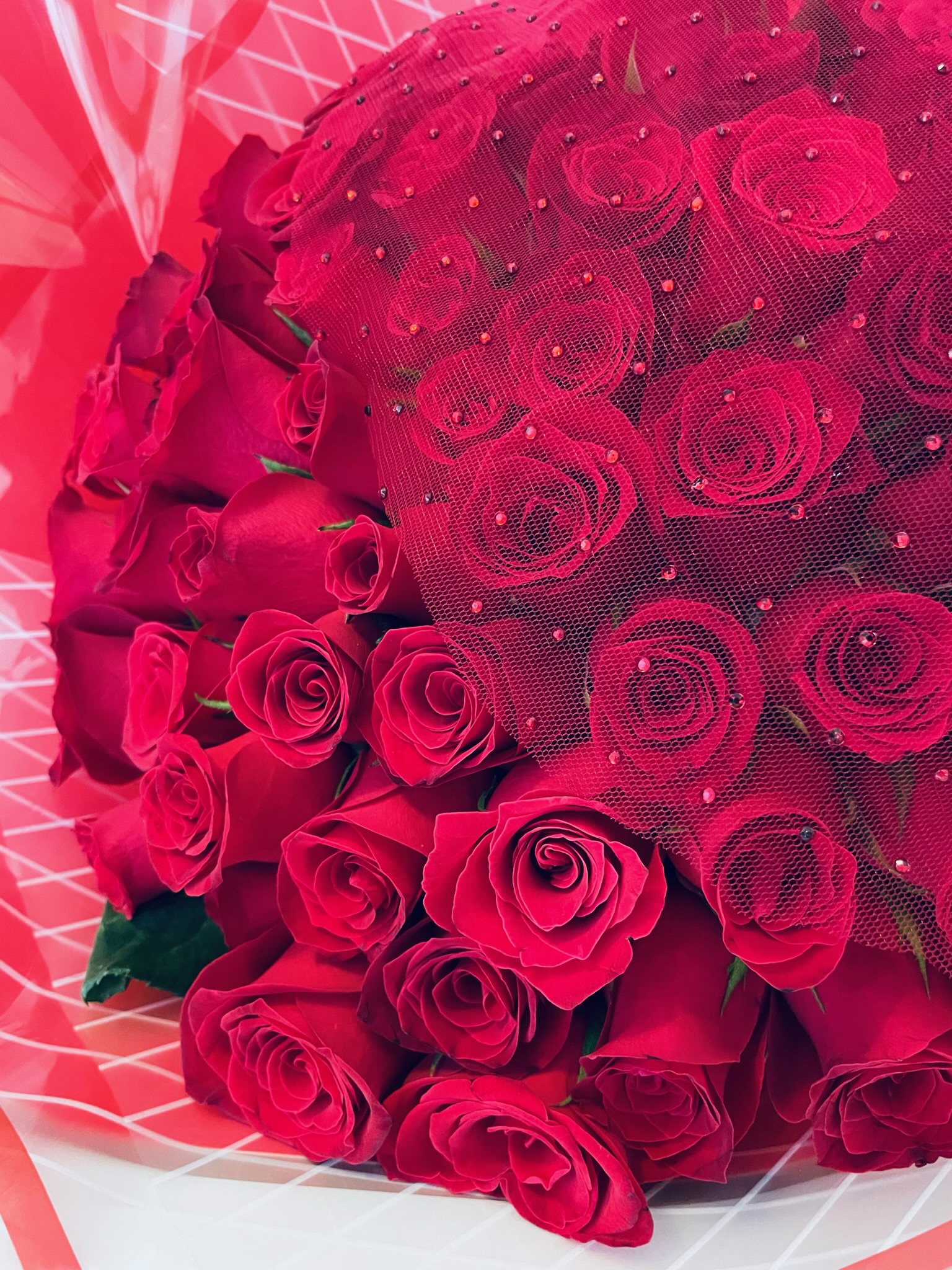 Red Romance - view 2